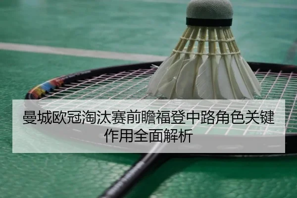 man-cheng-ou-guan-tao-tai-sai-qian-zhan-fu-deng-zhong-lu-jue-se-guan-jian-zuo-yong-quan-mian-jie-xi-3-238.jpg